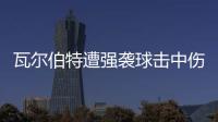  瓦尔伯特遭强袭球击中伤退 天使主场3